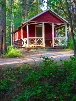 Гостиница Johnston Canyon Lodge & Bungalows  Касл Джанкшен